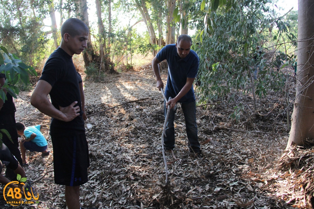 mokhayam picrtyere (89).jpeg